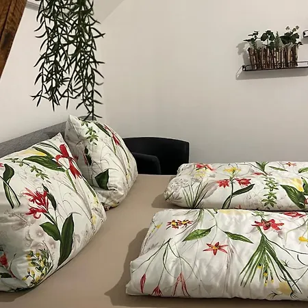 La Belle Maison Apartamento *